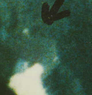 Northwest Object