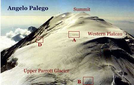 palego.gif (99502 bytes)